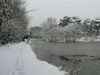 P1040844.JPG