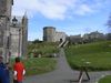 P1000301_(Large).JPG