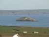 P1000306_(Large).JPG