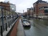 P1070107_(Large).JPG