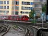 P1100487.JPG