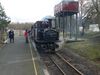 P1100018.JPG