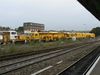 P1010865.JPG