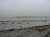 P1010900.JPG